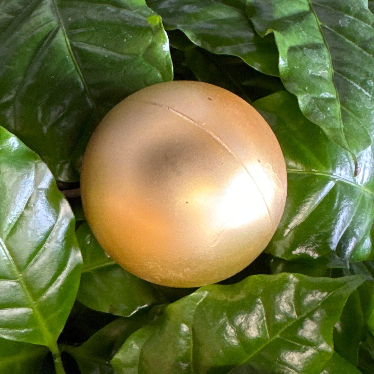 Matte Gold Bauble | Decorative Plant Pot Accessory