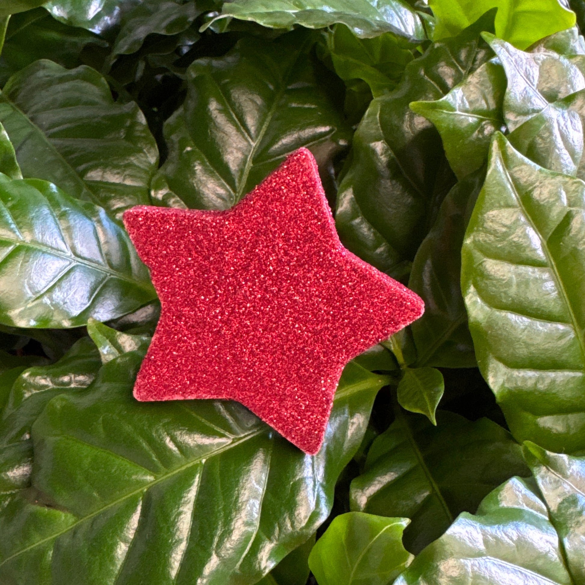 Bouncy Red Star | Decorative Plant Pot Accessory