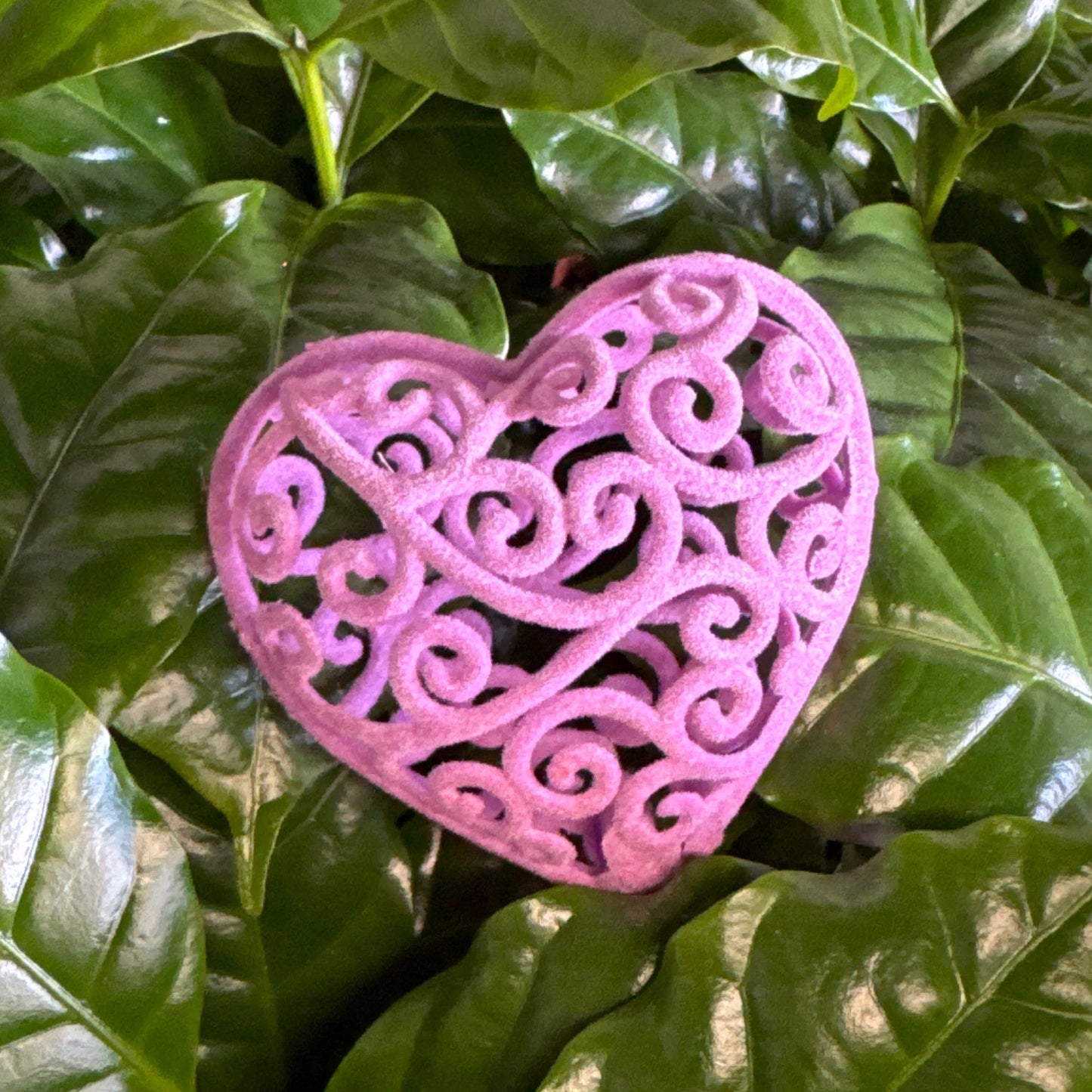 Purple Heart - Decorative Plant Pot Accessory