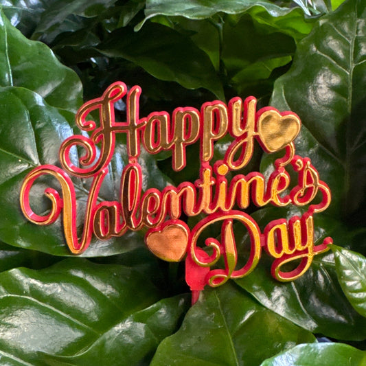 Happy Valentines Day | Decorative Plant Pot Accessory | Gardening Accessories