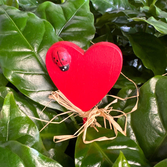Love Heart Ladybird | Decorative Plant Pot Accessory | Gardening Accessories