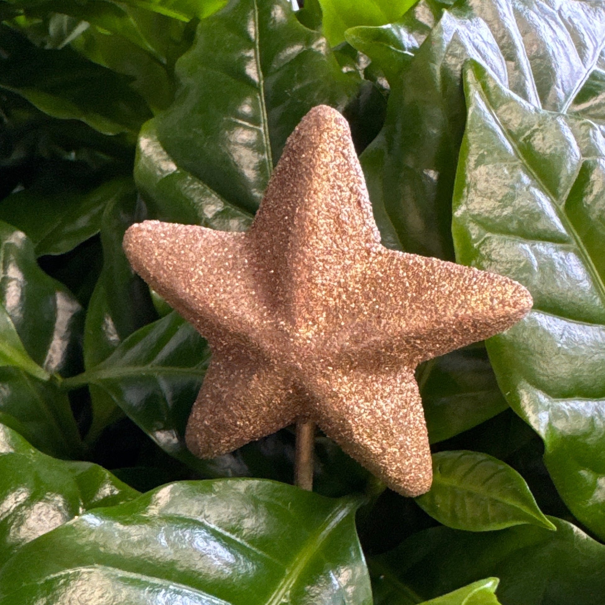 Gold Styro Star | Decorative Plant Pot Accessory