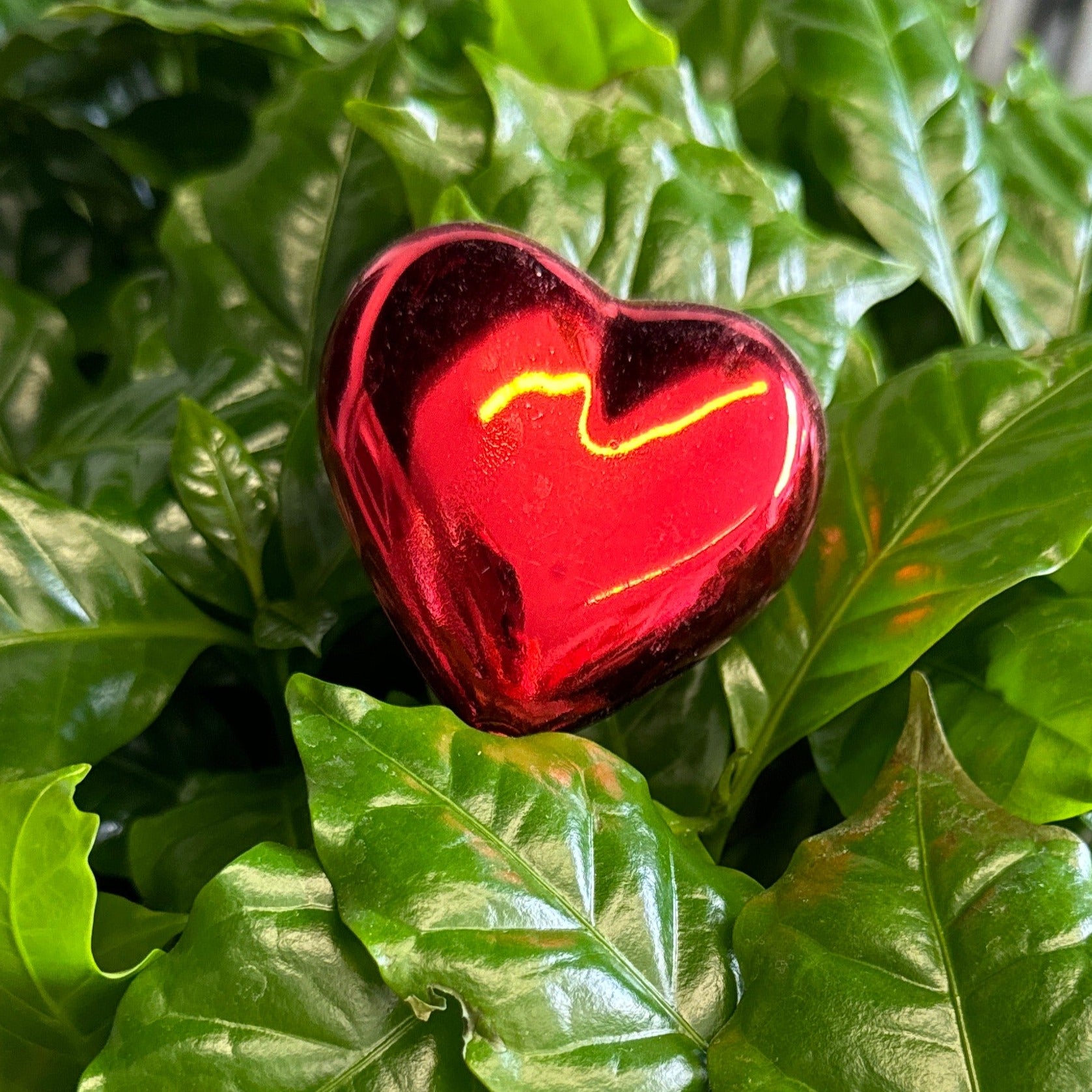 Shiny Red Heart | Decorative Plant Pot Accessory