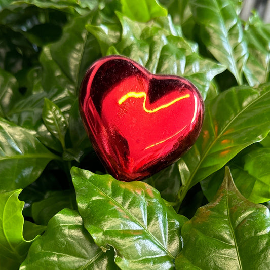 Shiny Red Heart | Decorative Plant Pot Accessory | Gardening Accessories