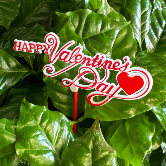 Happy Valentines Day | Decorative Plant Pot Accessory | Gardening Accessories