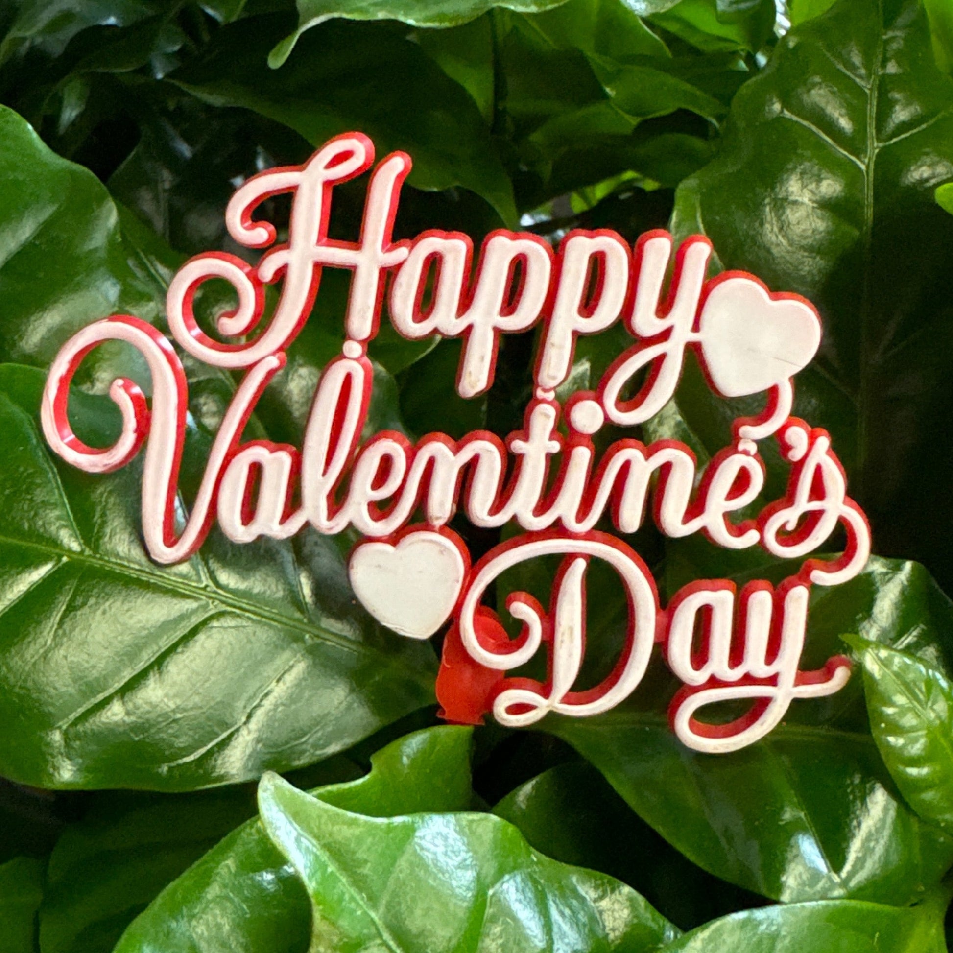 Happy Valentines Day | Decorative Plant Pot Accessory