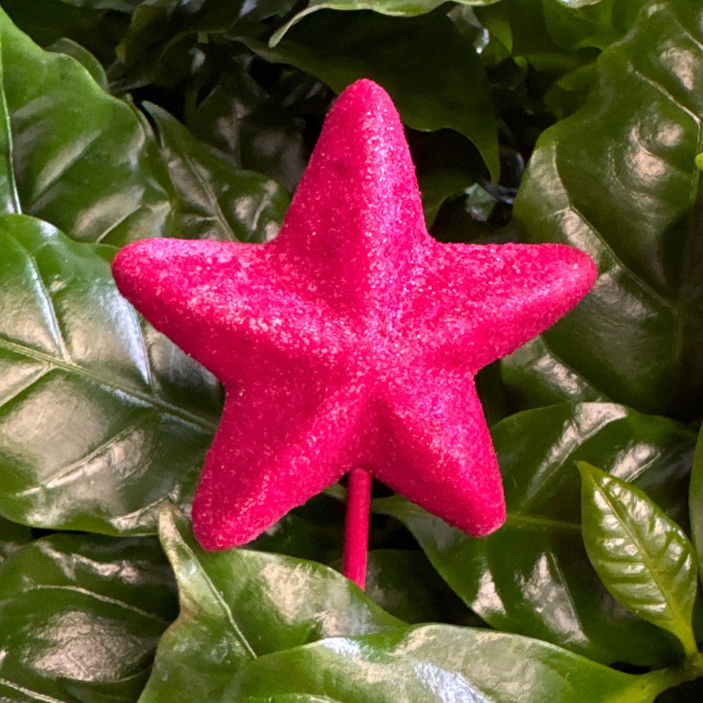 Pink Styro Star | Decorative Plant Pot Accessory