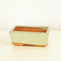 Bonsai Ceramic Pot | Pale Green - Ceramic Plant Pot