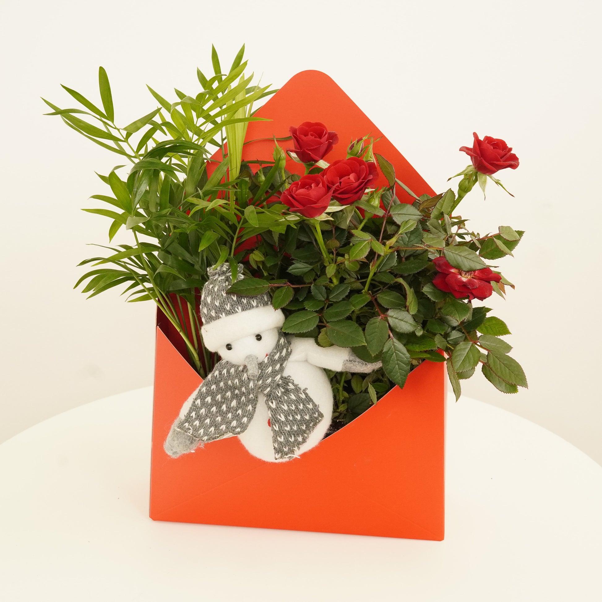 Flowering Rose & Parlour Palm | Envelope Giftbox