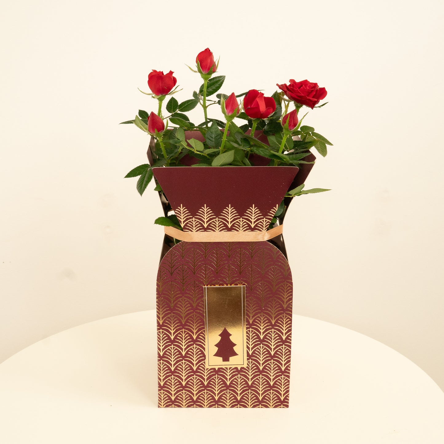 Flowering Red Rose | Gift