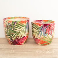 Monza Tropical Fuchsia Plant Pot - Ceramic Plant Pot