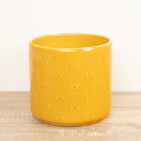 Arley Pot | Bee - Ceramic Plant Pot