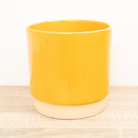 Eno Pot | Mustard - Ceramic Plant Pot