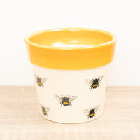 Bumble Bee Plant Pot - Ceramic Plant Pot