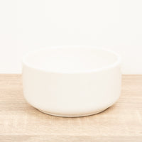 Lucky Bamboo Ceramic Bowl | White - Ceramic Plant Pot