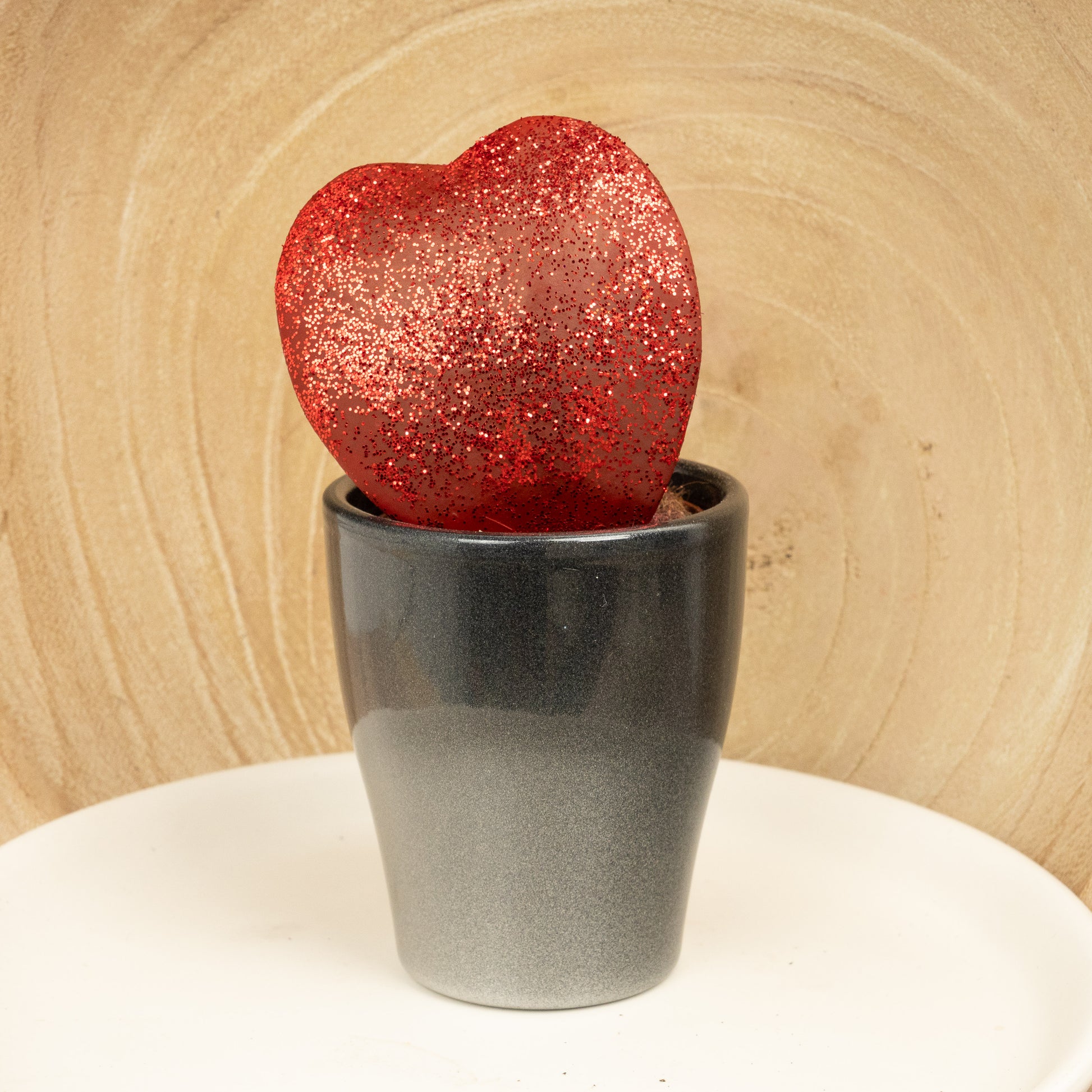 Heart Plant | Kerrii Red Glitter