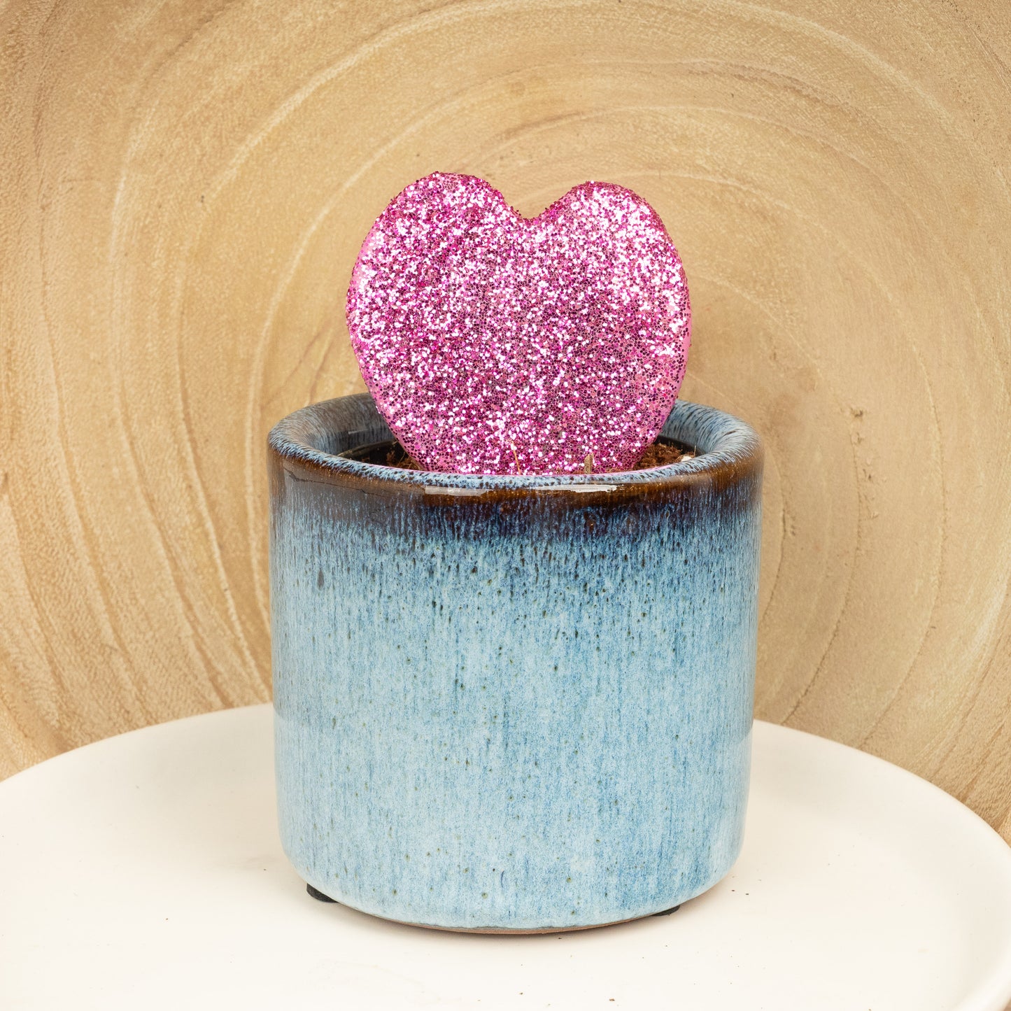 Heart Plant | Kerrii Pink Glitter