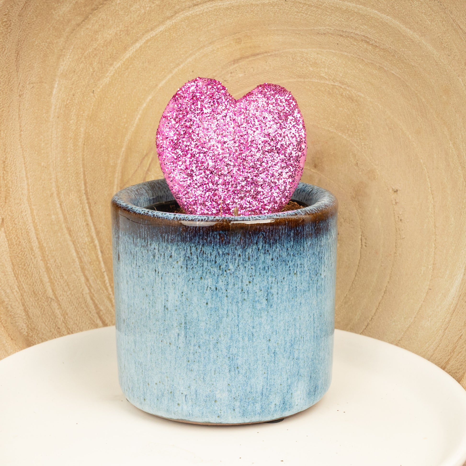 Heart Plant | Kerrii Pink Glitter