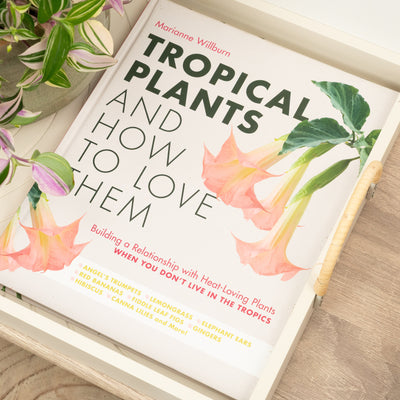 Tropical Plants and How To Love Them by Marianne Willburn - Indoor Plant