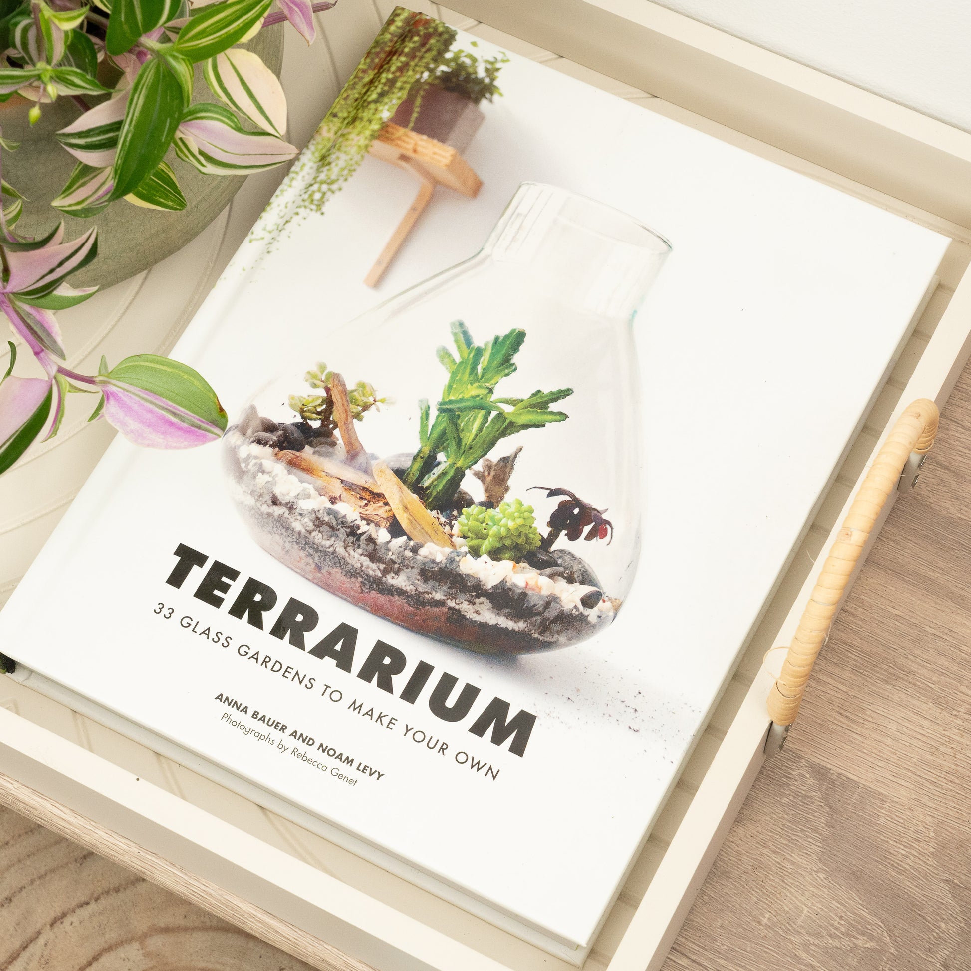 Terrarium - 33 Glass Gardens To Make Your Own