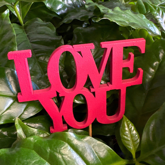 Love You | Decorative Plant Pot Accessory | Gardening Accessories