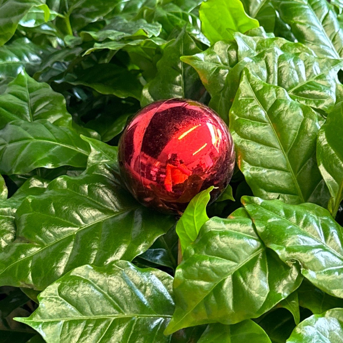 Shiny Red Bauble | Decorative Plant Pot Accessory