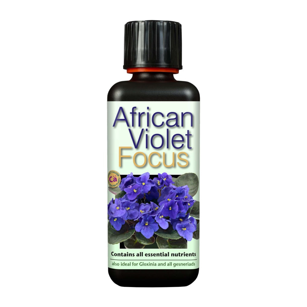 African Violet Focus Plant Food