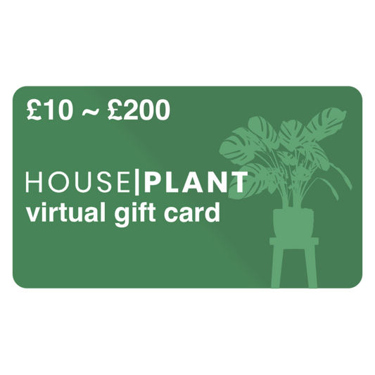 Houseplant Gift Card | Exotic & Tropical Plants