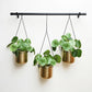 Linear Hanging Planters | Black and Gold