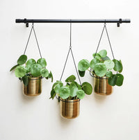 Hanging Planters | Gold & Black - Metal Plant Pot