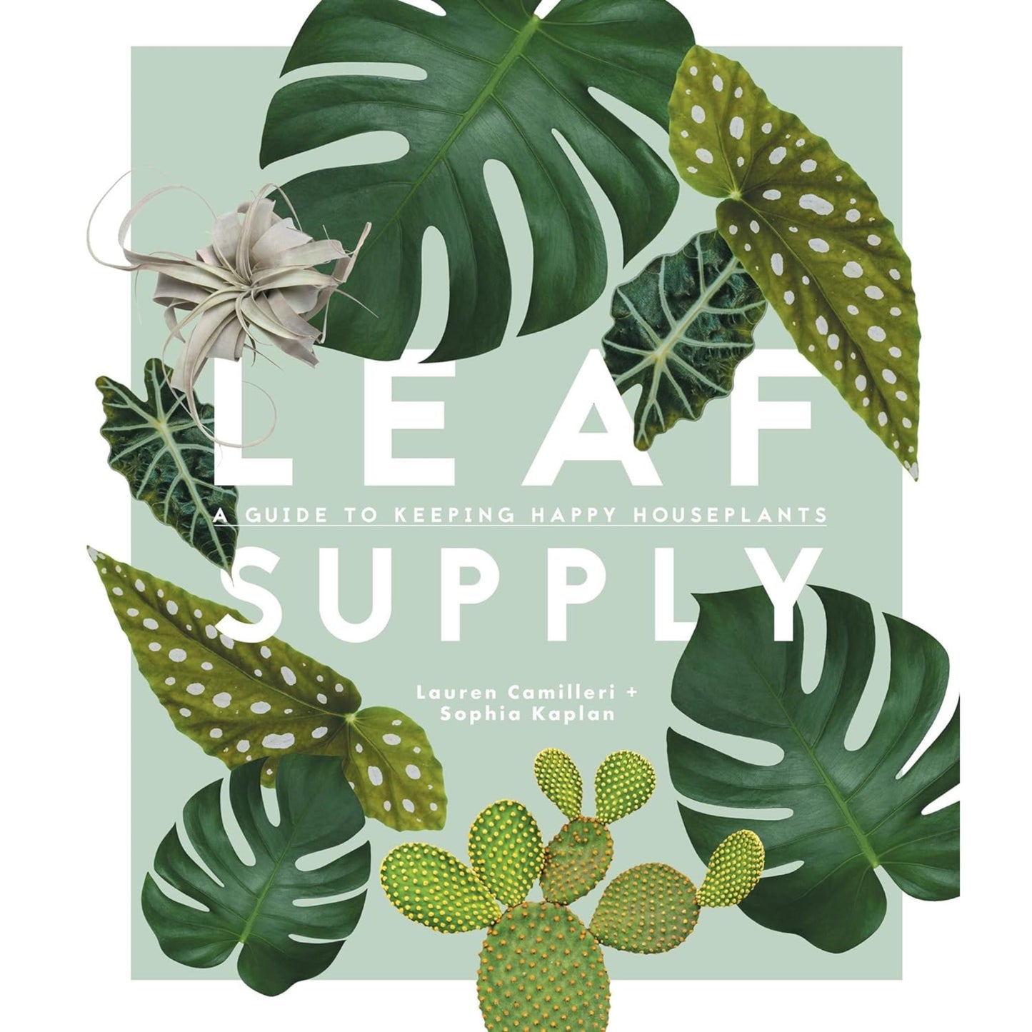 Leaf Supply: A guide to keeping happy house plants by Lauren Camilleri and Sophia Kaplan