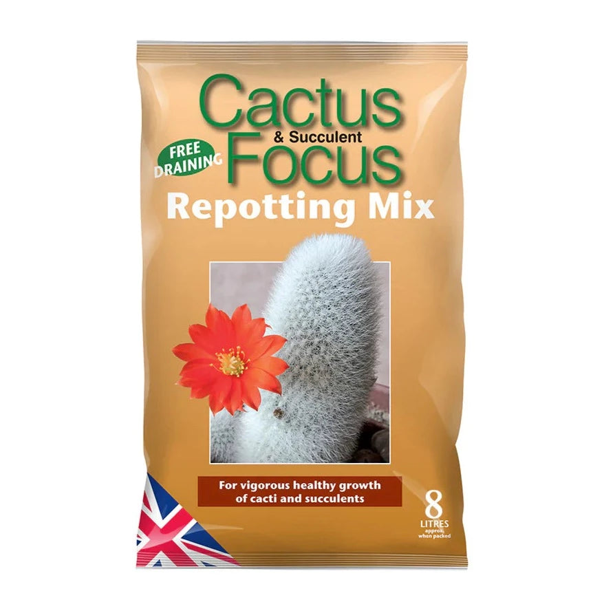 Cacti & Succulent Focus Repotting Mix Peat Free & & Houseplant UK