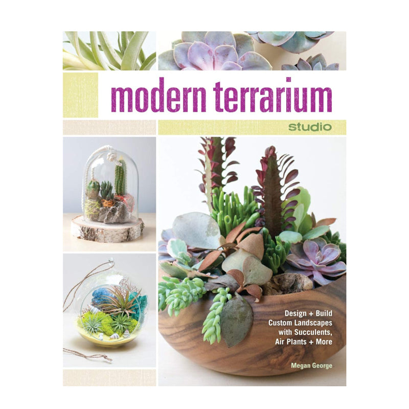 Modern Terrarium Studio